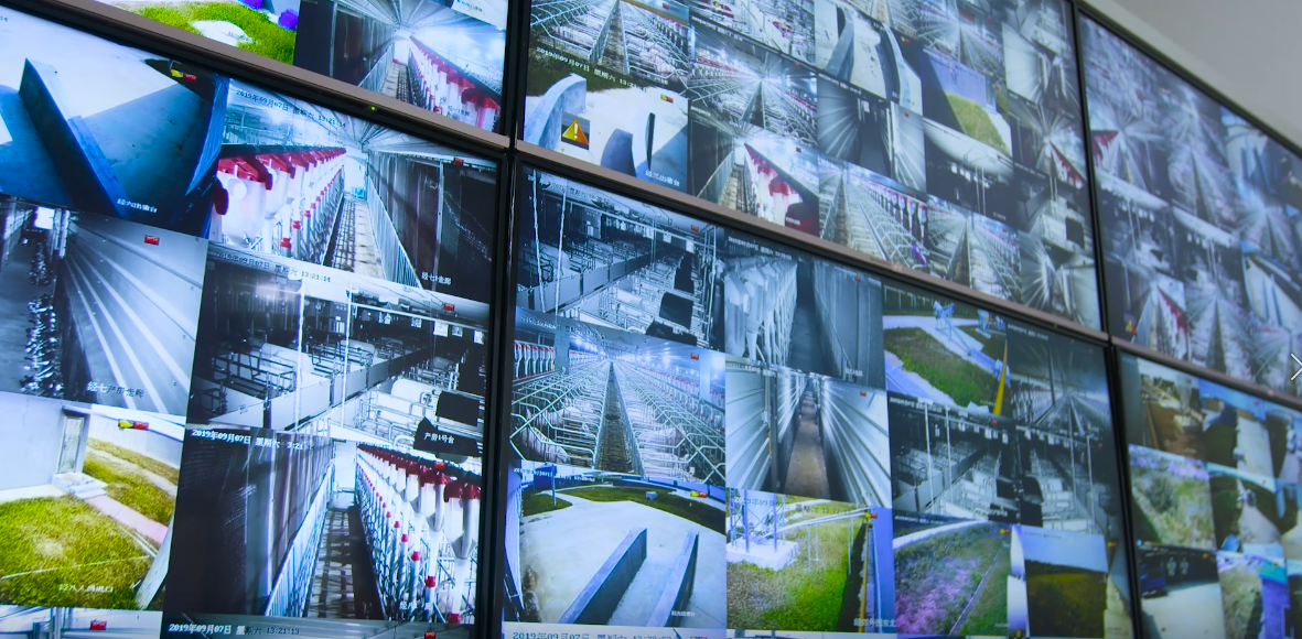 ����ϣ����williamhill(�й�)���Ĺٷ���վ