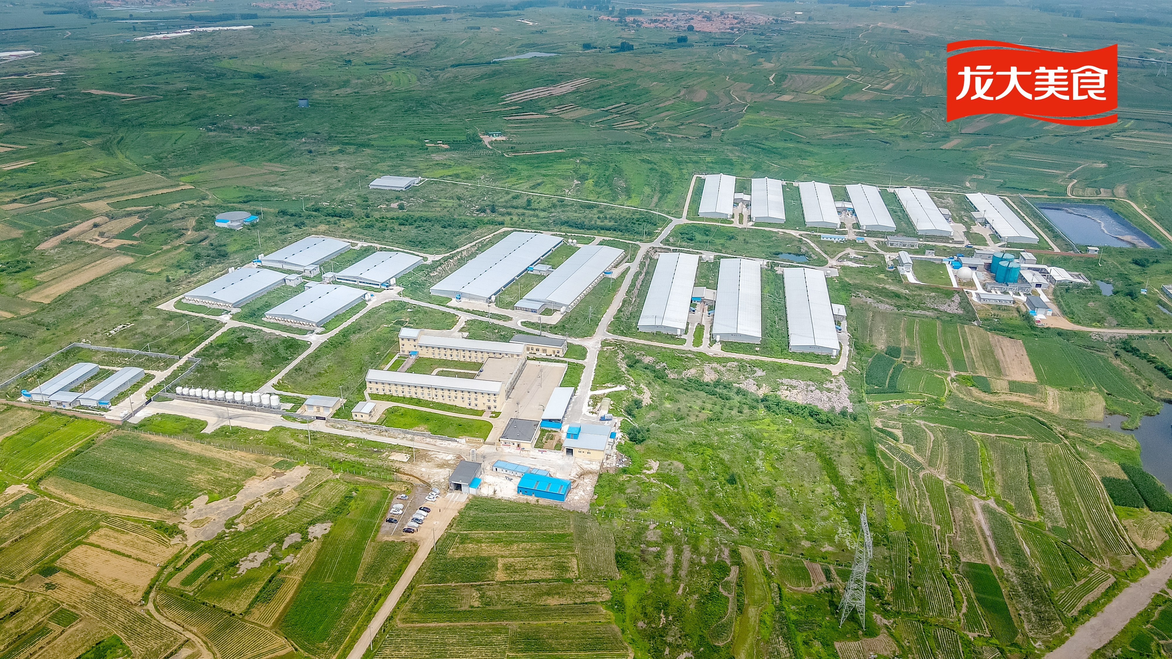 WilliamHill�ٷ���վ��ʳ˳���������ɺ�������WilliamHill�ٷ���վ���������������У�